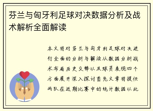 芬兰与匈牙利足球对决数据分析及战术解析全面解读